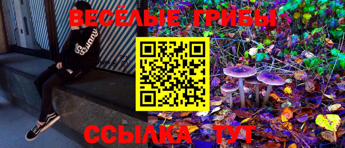 Глазов  Галлюциногенные грибы мухоморы  Вход с VPN  Галлюциногенные грибы Psilocybine cubensis 